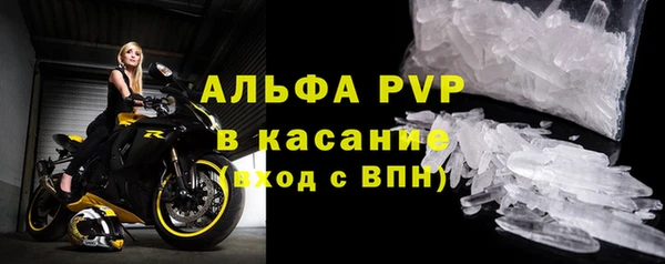 СК Гусь-Хрустальный