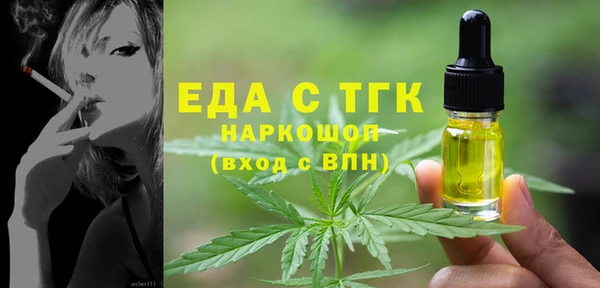 СК Гусь-Хрустальный
