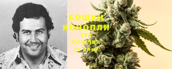 метадон Гусиноозёрск